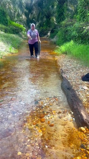 Looking for gold and panning for gold buried in river walls #golddiscovery #goldpanning #mininggold #goldhunter #viralvideo #foryou #foryoupage