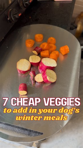 Here are 7 vegetables to add to your dog’s meals this winter👇 🥕 Carrots – Packed with Vitamin A & antioxidants for better eyesight and a glowing coat. 🍠 Sweet Potato – A natural energy booster that keeps your dog warm and full. 🎃 Pumpkin (Kaddu) – Great for digestion and helps regulate poop (both constipation & loose motion). 🥬 Spinach (Palak) – Rich in iron & folate; supports healthy blood and bones. 🥦 Broccoli – High in Vitamin C; builds immunity and helps detox. 🫛 Green Peas (Matar) – 