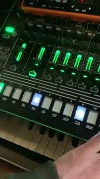 Chaos (Dhurata Dora und Lea) Acid Bass improved Cover. #electronicmusic #synthesizer #analogvibes