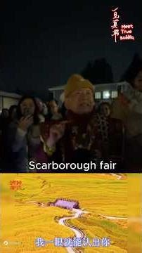 斯卡布罗集市 Scarborough Fair (卢师尊与瑶池金母的对话）(A Dialogue Between Grandmaster Lu and Golden Mother)