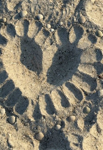 Unexpected Valentine's Day Surprise