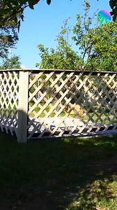 1.8K views | Modernize your fence with wooden slatted design | The Best Science Videos | Facebook