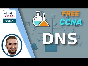 Free CCNA | DNS | Day 38 Lab | CCNA 200-301 Complete Course