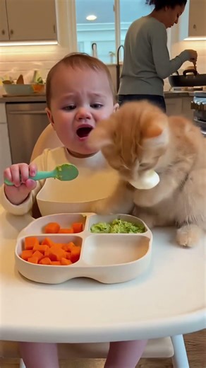 The Kittten STOLE My Egg! 🍳😾 Baby vs. Tiny Thief!