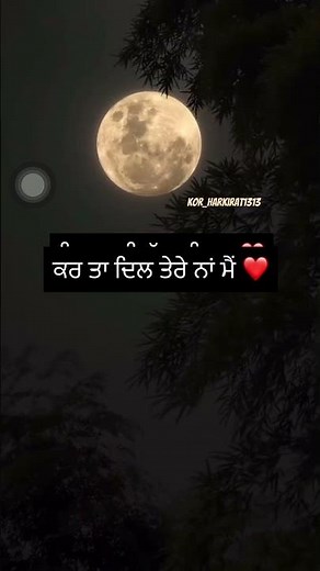 Sohni jihi pagg waleya ❤️ #lyrics