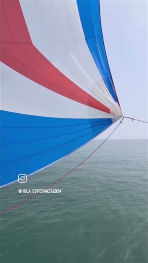 왕산마리나 요트클럽의 하루 #sailing #요트 #세일링 #요트교육 #요트클럽 #요트동아리 #요트연수
