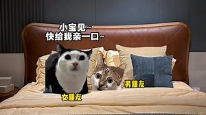 小时候的记忆从未模糊