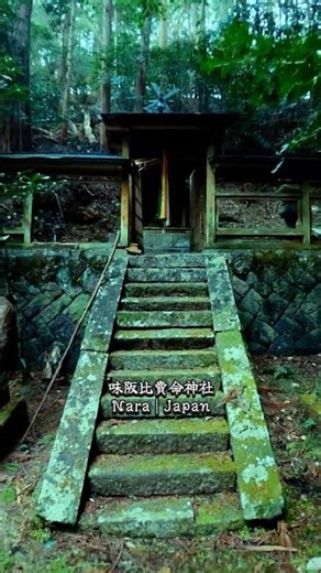 【奈良】地図の果てに眠る薬の聖域…「味阪比賣命神社」の静寂と霊気が凄まじい The Hidden Medicine Shrine: Misaka-hime in Nara ⛩️🌿 #Shorts