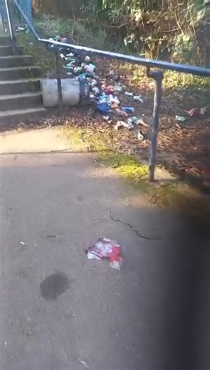 Yuck. A park user said an overflowing bin becomes a target for teens who kick it over. Bags of dog poo and rubbish are often left strewn across this city park. Read more: https://trib.al/zkL1Ll3 | Worcester News