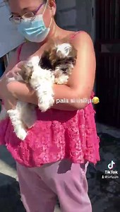 Tamang harot sa tag init ang Luffy na to kay Nami🔥😅🐶❤️ LuMi love team na ba to? Hahahaha | Luffy B the smiling dog