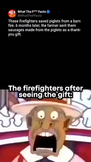 Cooked…literally 💀 #meme #memes #firefighter piglets shocked | Kadz