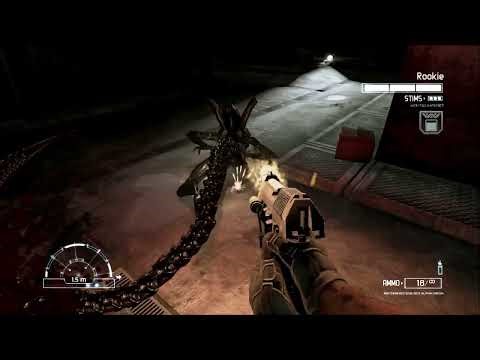 Alien VS Predator Marine Campaign