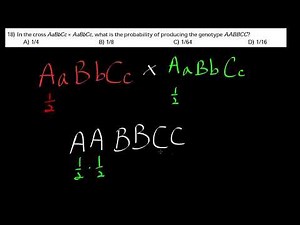 AP Bio test bank 11-18: In the cross AaBbCc × AaBbCc,