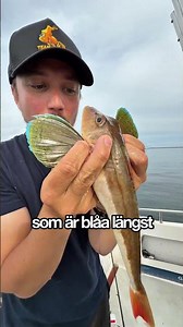 Den MYSTISKA fisken i svenska vatten…