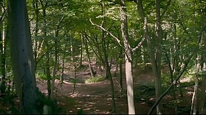 [Www.VoirFilms.info]-Now Is Good.vf.Dvdrip.xvid