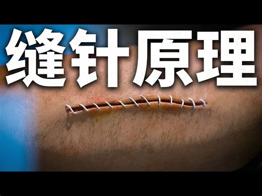 【中配】缝针的工作原理 - Zack D. Films