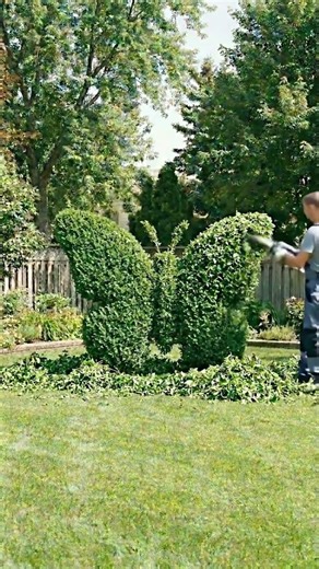 Growing a Giant Butterfly Topiary in Backyard #timelapse #architecture #timelapsebuild #art