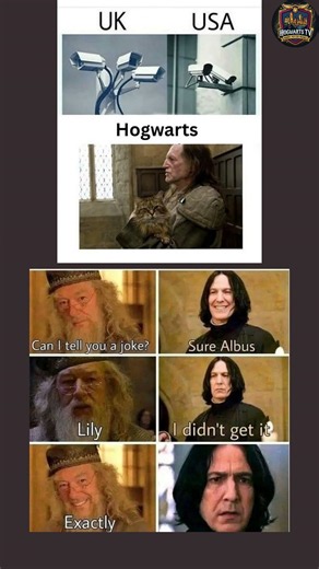 Why Hogwarts Security Is Actually Elite! ðŸ˜‚ | Filch is the OG Spy ðŸ˜‚ #harrypotter