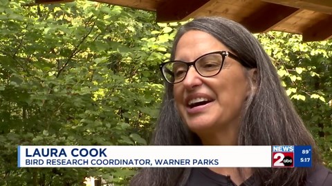 Hummingbird migration begins in Tennessee