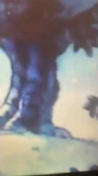 The New Adventures of Winnie The Pooh Theme Song in Reverse