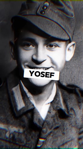 Why did the best German sniper Josef Allerberger shoot only in the stomach at advancing enemies？#history #ww2 #darkhistory #facts #fyp