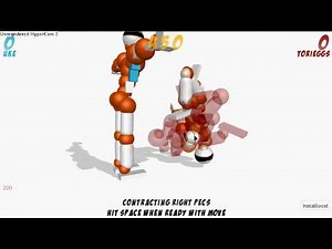 Toribash Tutorial :Decap