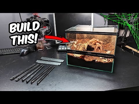 How To Build BIGGER Dark Den Enclosure!