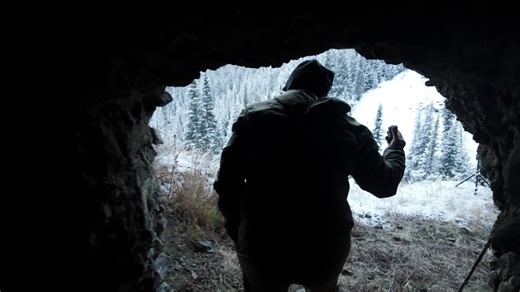 Filmmaker who left camera in a grizzly bear cave for 10 years shares story