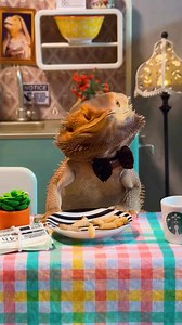 3.9K views · 124 reactions | Mindful munching is part of the ritual....