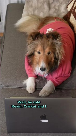 He's all RIGHT now! 😆🐶 e689