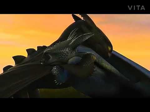 Night lights and night fury and light fury tribute family