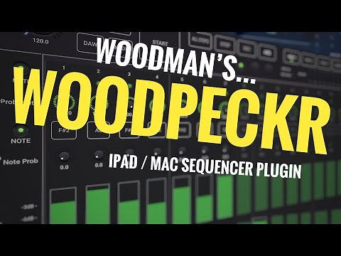 Woodpeckr / Woodpecker by Woodman’s / Wims Studio // Powerful Midi Sequencer App / Plugin