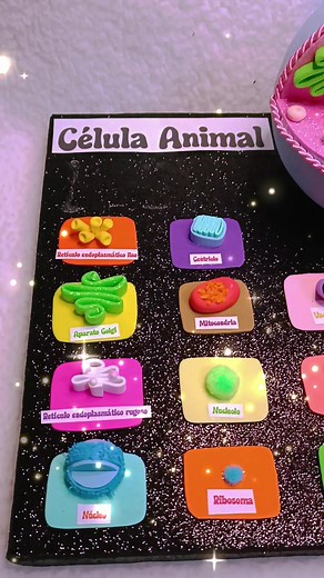 Explorando la Célula Animal: Proyectos y Maquetas