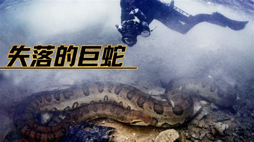 【熟肉片段】博尼图巨型森蚺的往事.