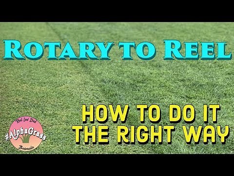 Rotary to Reel Mowing | How to do it Right | Golf Course Lawn