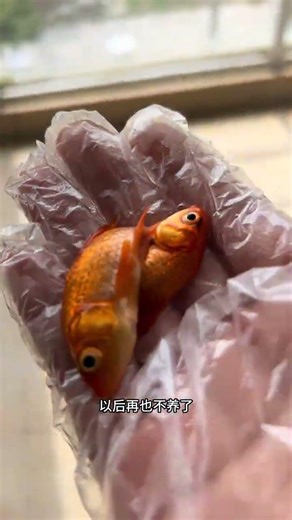 Revolutionary Fish Farming Tips: Master the Art of Aquaculture