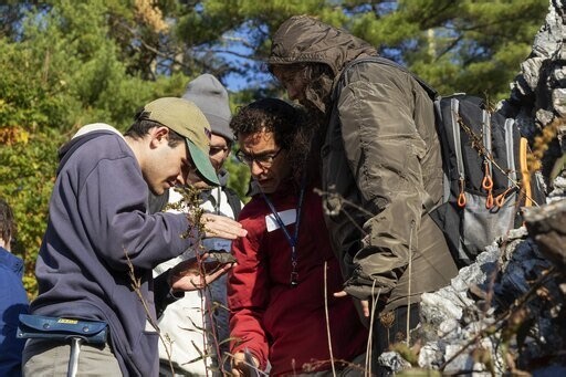 Support New Geology Field Trips that Bring Theory into Practice