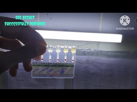 Perform cross matching in lab||MLT course
