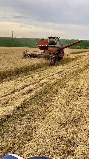 Віталік Репʼюк на TikTok