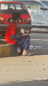 1.1K views · 32 reactions | Kindness is best thing with in all creations.this cat loves a lot to sit in@lap of this boy and play with him#viralvideo#trending#cat#animals#beauty | The Haunted Tour of Metamora | Facebook