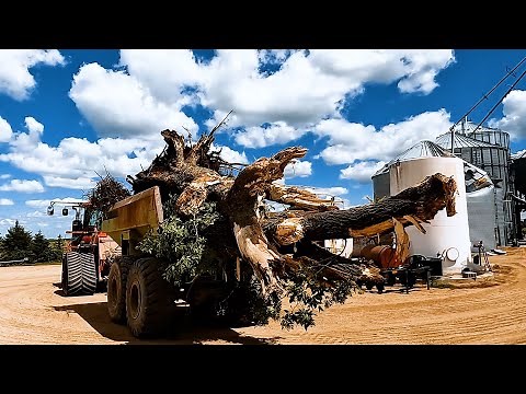 What Do Grain Farmers Do In The Summer??