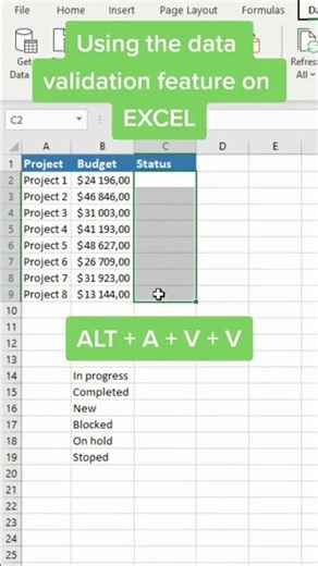 Data Validation in Excel (with example)