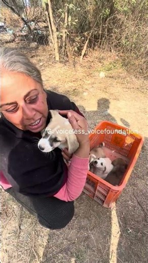 Bachon ko kise ne raste mei chod diya.