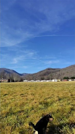 The Most Beautiful Morning View….. Maggie Valley, North Carolina 2025, Mountain Valley View.