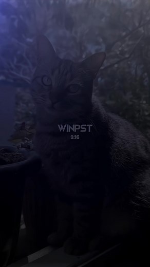 DJ Ranto Gudel X Alone - Wink Kopreset JJ Mix