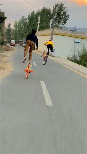 #stunt #cycle #automobile #weeling