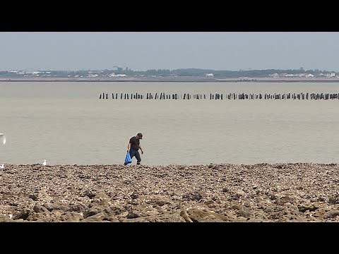 Fouras : début des grandes marées
