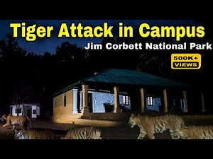 उस खौफनाक रात के बाद Corbett National Park में हुए बड़े बदलाव |Tiger Attack - Dhikala 2005 #corbett