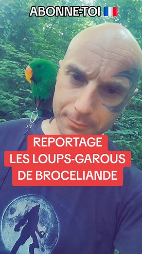 Les loups-garous de Broceliande #virale #bretagne #morganpriest #viral #viralditiktok #dogman #loupgarou #loupgaroufrance #broceliande #bzh #tpmp @✨𝙑𝙄𝙍𝘼𝙇𝙑𝙄𝘿𝙀𝙊✨