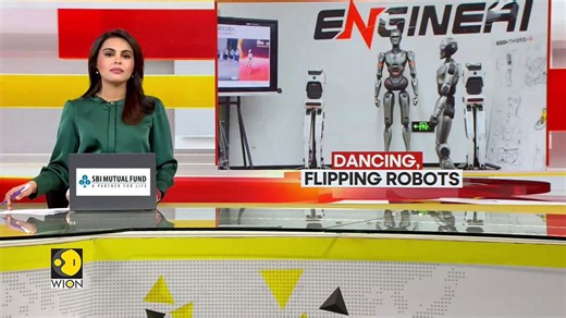 Dancing, flipping robots entertain crowd in China's Shenzhen